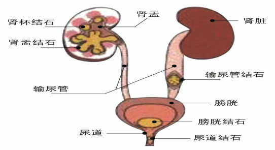 圖片 5